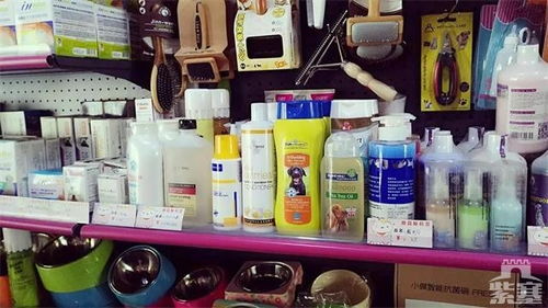 紫塞明珠，安心之选——承德私宠订制宠物美容服务